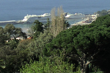 Kreuzfahrtschiffe vor Anker auf der Insel Madeira.
