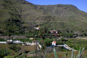 Das subtropische Tal von Agaete und die Fincas von Gran Canaria, beim Landausflug - Der Norden und seine Fincas.